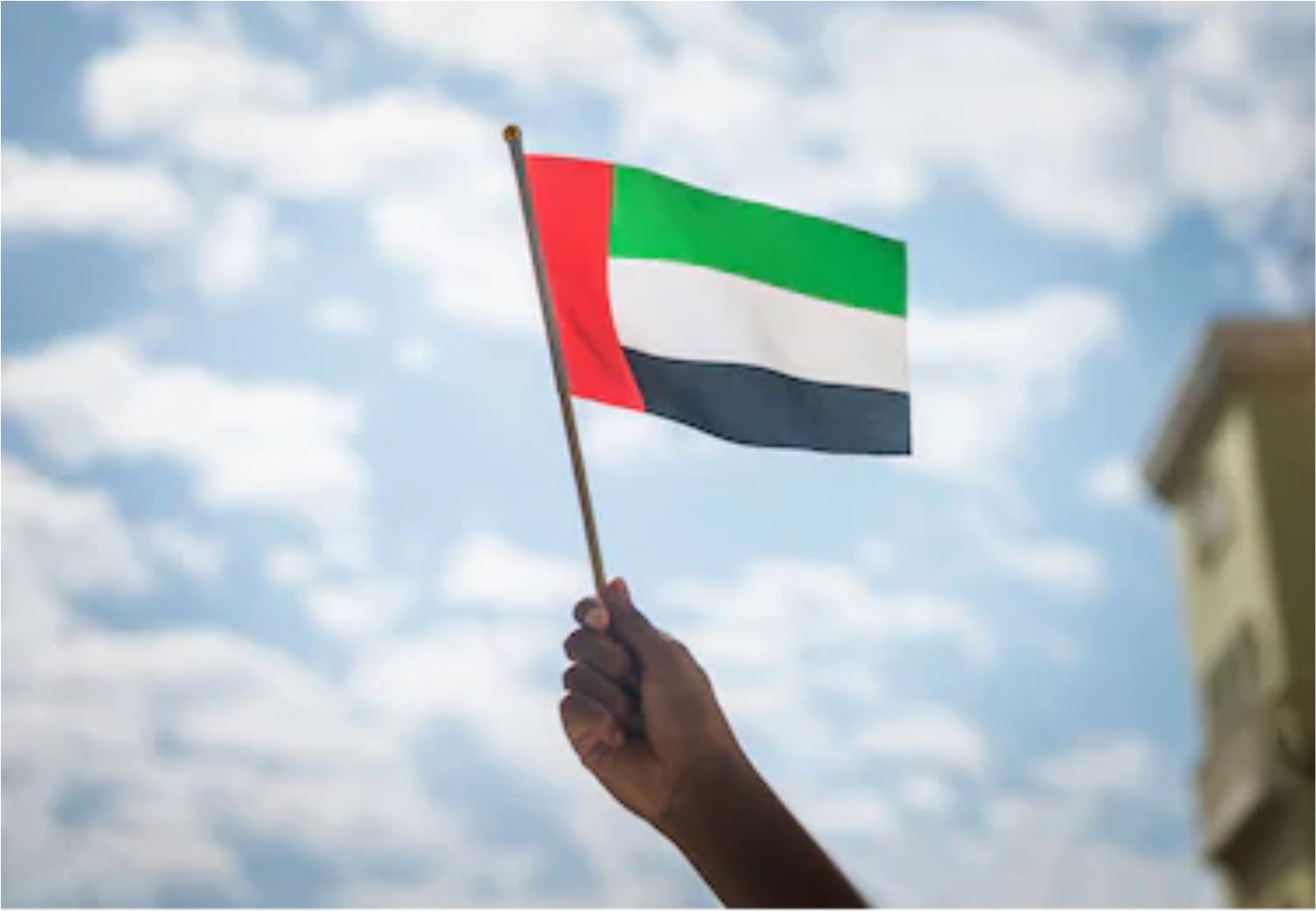 hand held flags manufactures UAE